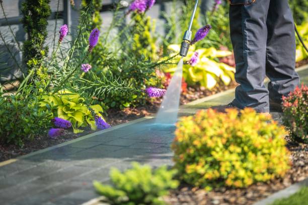 Best Post-Construction Pressure Washing  in Weedpatch, CA