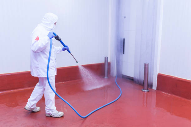 Best Roof Washing  in Weedpatch, CA